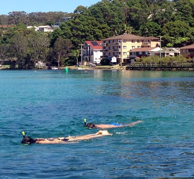 Marcel Towers Holiday Apartments Nambucca Heads Luaran gambar
